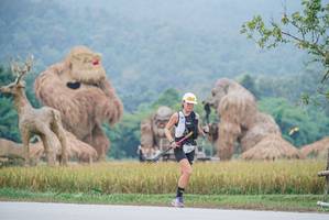 BIB: 
                            <button type="button" onclick="openModal(22305508)" class="btn btn-primary btn-sm float-right btn-popup" data-toggle="modal" data-target=".modal-high-quality">
                        <i class="fas fa-shopping-cart"></i> Add to Cart
                    </button>
                                            <button type="button" onclick="isThisMe(22305508, true)" class="btn btn-success btn-sm float-right btn-popup btn-isme hidden" data-toggle="tooltip" data-placement="bottom" title="นี่คือรูปของคุณใช่ไหม คลิกที่นี่เพื่อเอาเข้าอัลบั้ม">
                        <i class="fas fa-plus"></i> Add to album
                    </button>
                    <button type="button" onclick="isThisMe(22305508, false)" class="btn btn-warning btn-sm float-right btn-popup btn-isnotme hidden">
                        <i class="fas fa-ban"></i> Remove from album
                    </button>